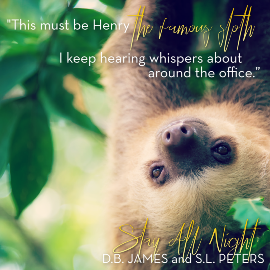 Book Review: Stay All Night by D.B. James and S.L.&nbsp;Peters