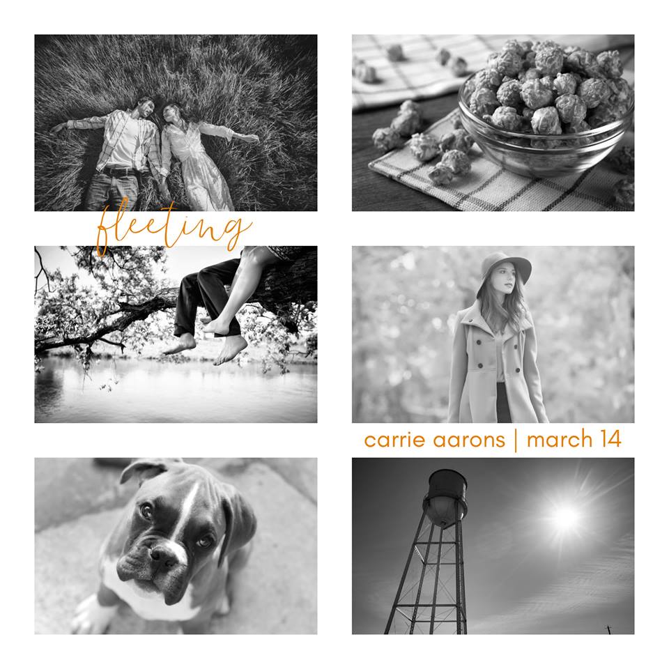 Book Review: Fleeting by Carrie&nbsp;Aarons